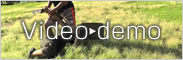 video demo